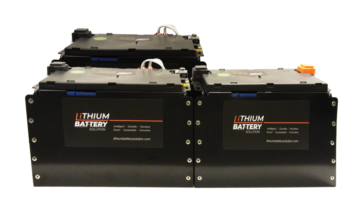 Lithium-ion (LiFePO4) 3X LBS 271
