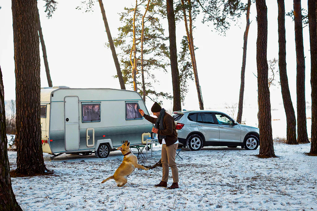 Best Batteries for Extreme Cold Weather Conditions