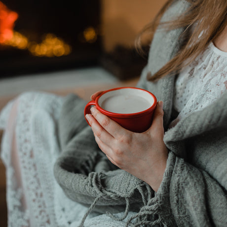 Meilleurs chauffages résidentiels pour l’hiver | Guide du chauffage Toyotomi