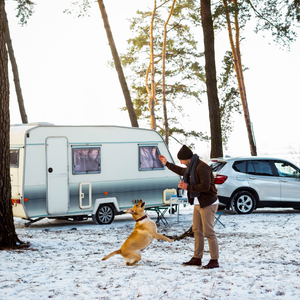 Batteries That Work Best In Cold Weather