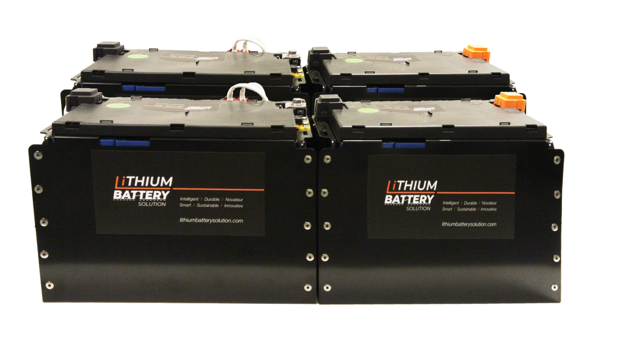 Lithium-ion (LiFePO4) 4X LBS 271