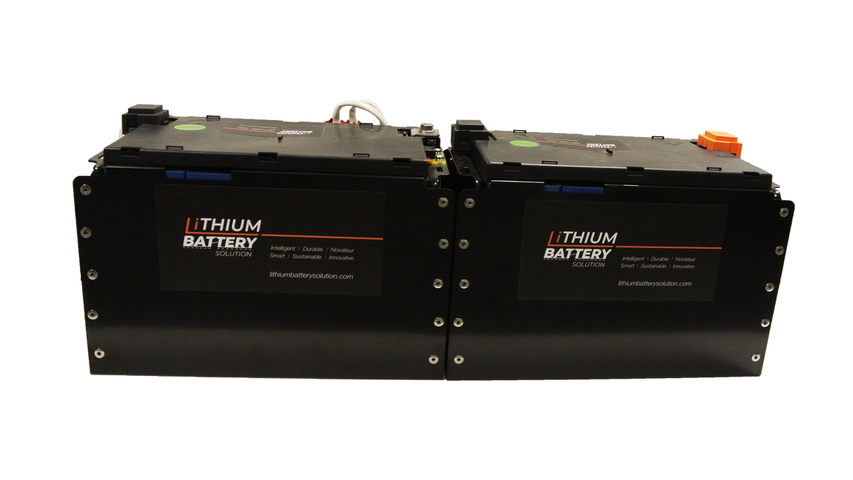 Lithium-ion (LiFePO4) 2X LBS 271